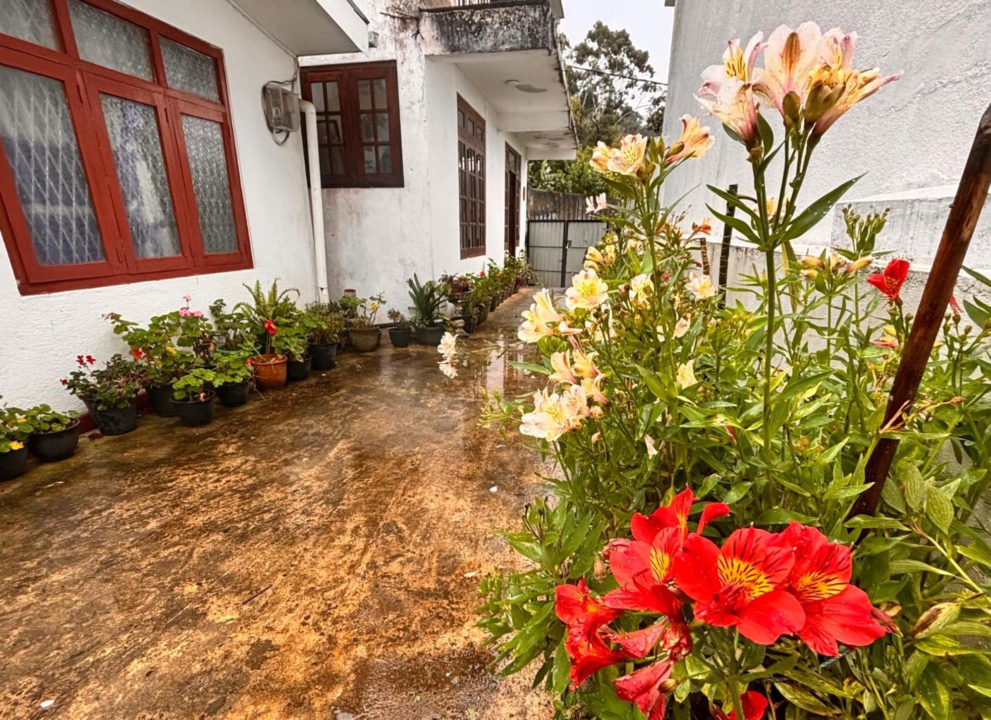 Shiny View Nuwara Eliya Exterior foto